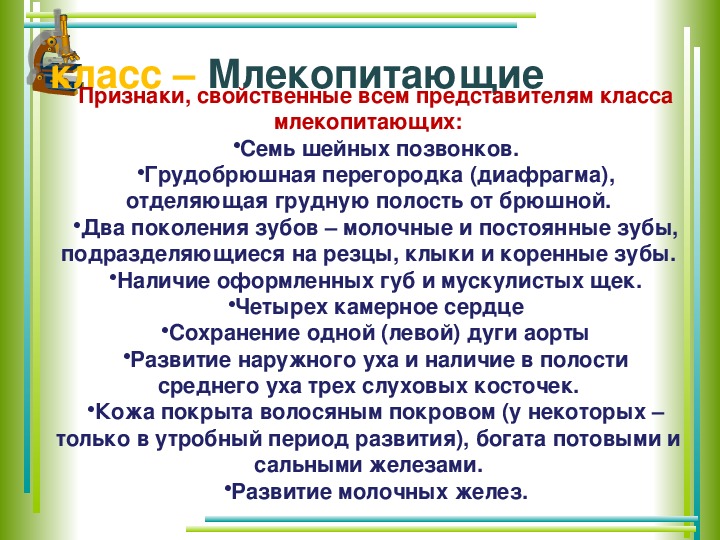 Кто написал первое систематическое руководство по социальной гигиене