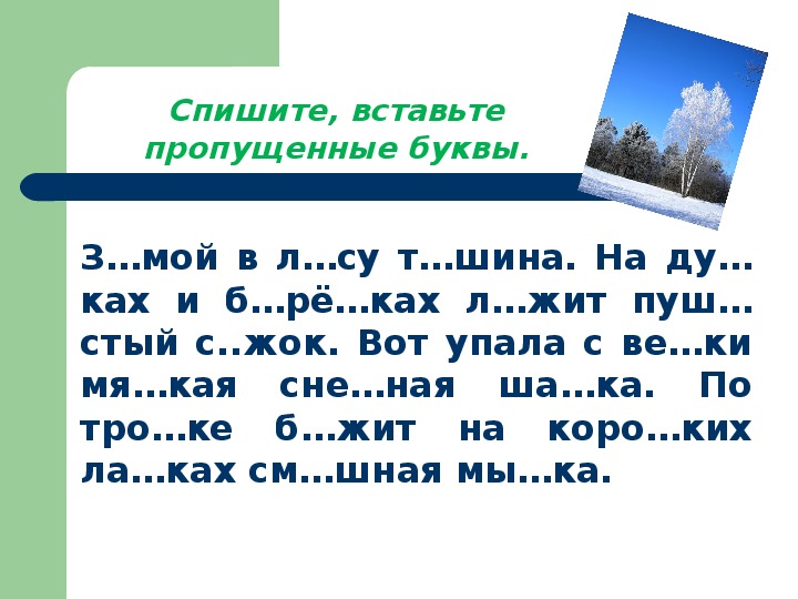 Разминка по русскому языку 3 класс презентация