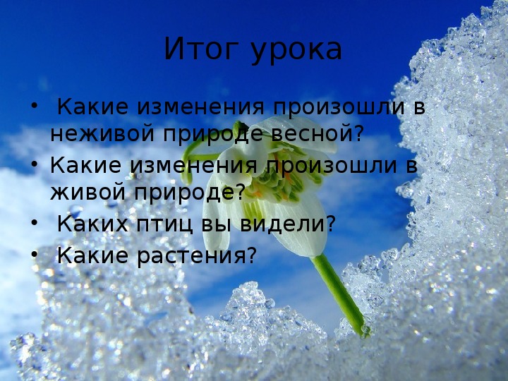 Презентация по окружающему миру 1 класс апрель водолей школа 21 века