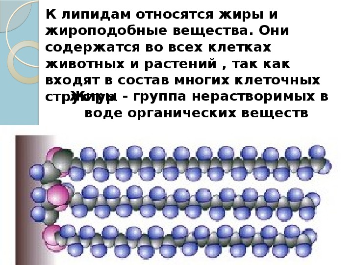 10 веществ. Жиры и жироподобные вещества. Липиды жиры и жироподобные вещества это. Жироподобные вещества нерастворимые в воде. Жироподобные вещества строение.