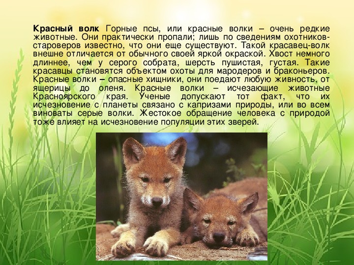 Красная книга ставропольского края животные и растения фото и описание