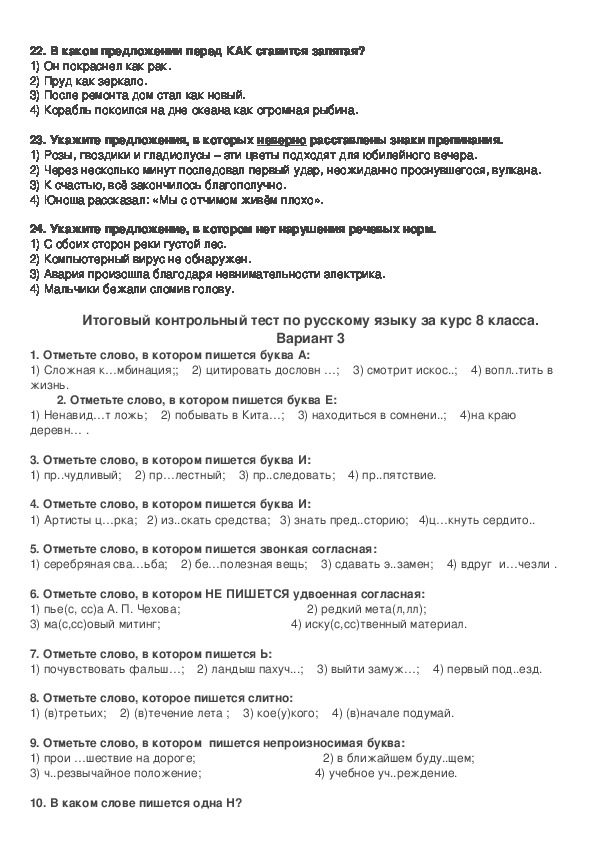 Контрольный тест по русскому языку 11 класс