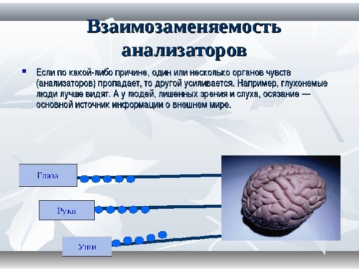 Анализаторы егэ биология презентация