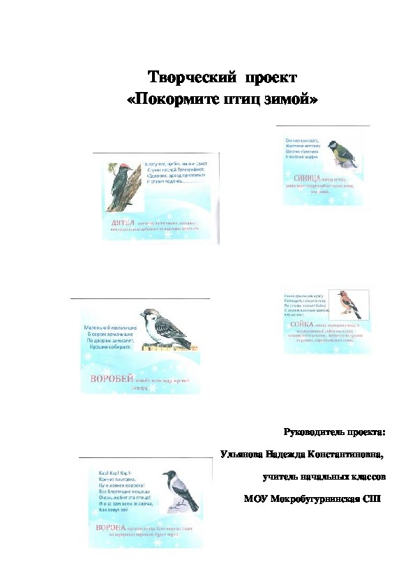 Творческий проект п русскому языку "покормите птиц зимой"