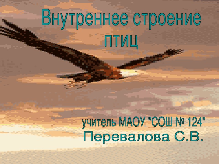 Презентация "Внутреннее строение птиц" 7 класс