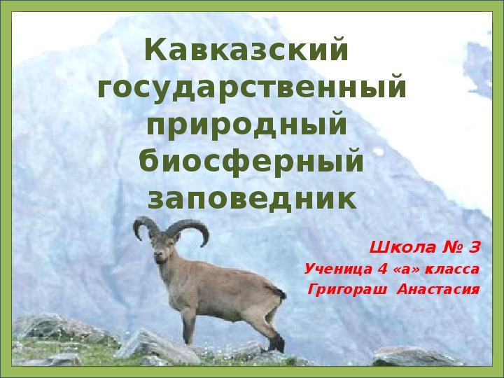 Презентация "Кавказский государственный природный биосферной заповедник"