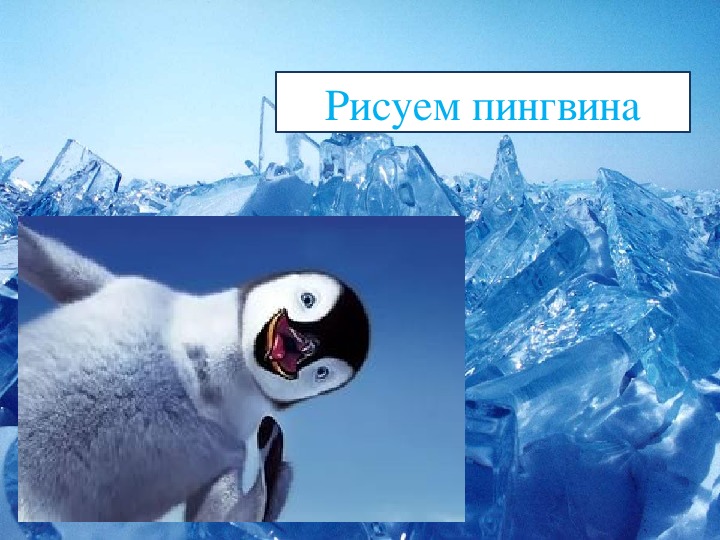 Презентация по изо "Рисуем пингвина"