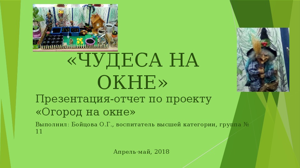 Презентация по экологическому воспитанию на тему "Чудеса на окне"