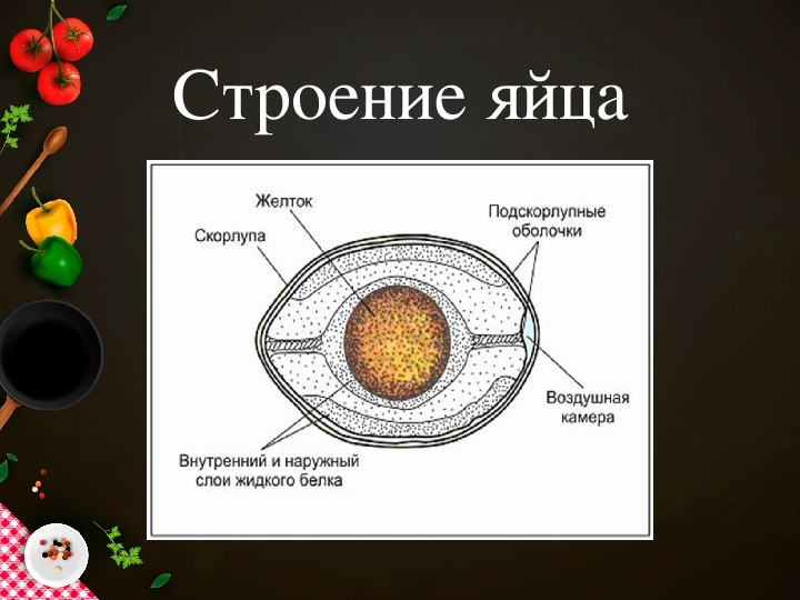 Блюда из яиц 5 класс технология конспект урока и презентация