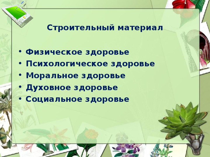 Укрепление традиционных духовно нравственных ценностей