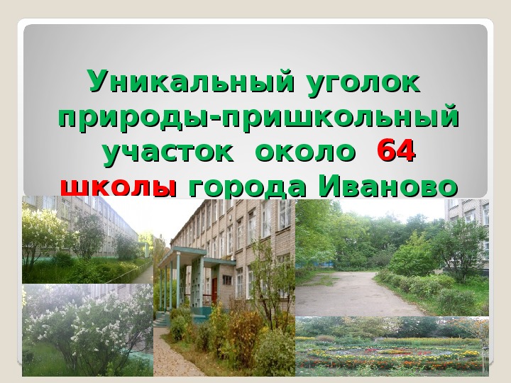 Презентация по  биологии и экологии "Уникальное место в Городе Иваново"