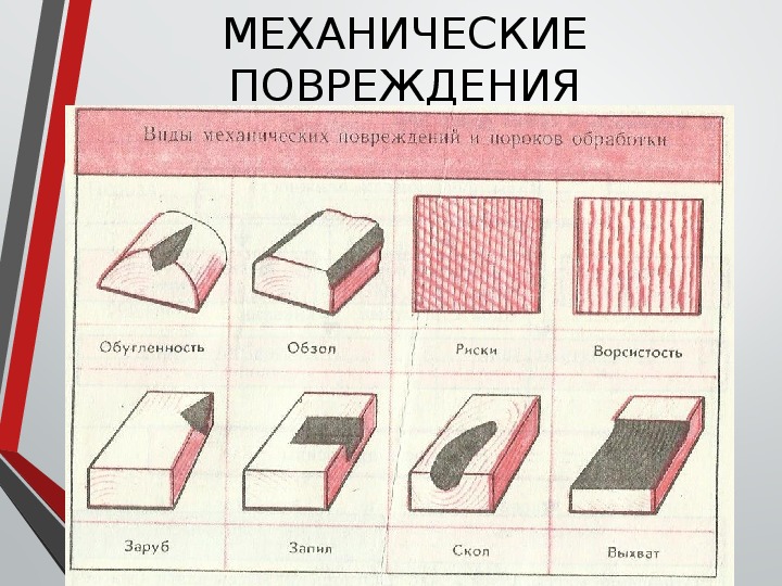 Пороки древесины 6 класс технология презентация