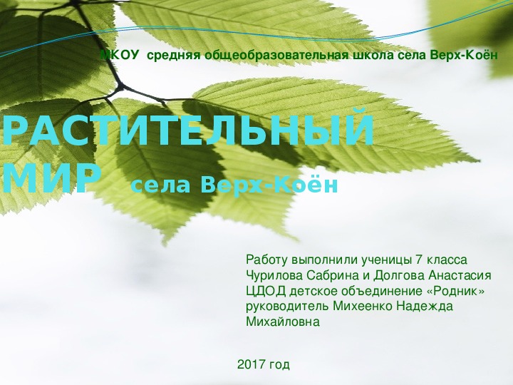 Презентация "Растения села Верх-Коён"