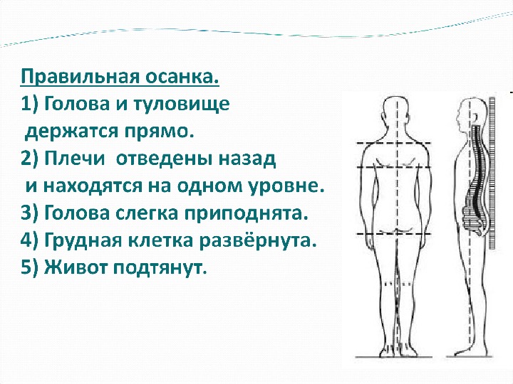 Осанка человека презентация 1 класс