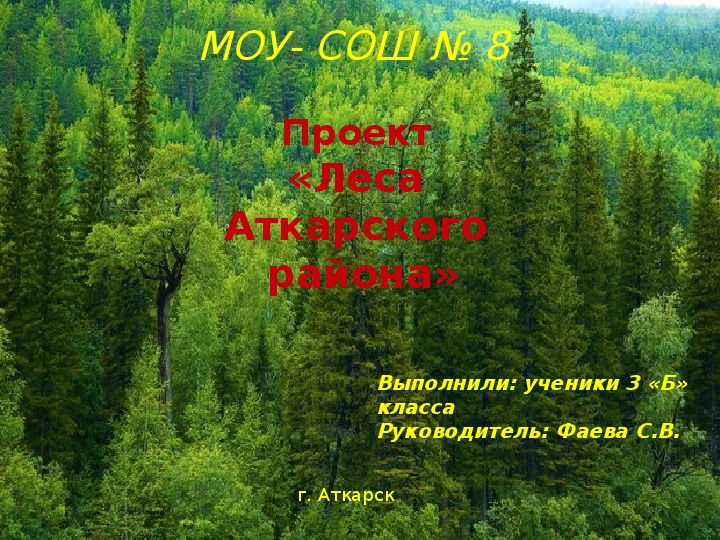 Стихотворение никитина лес. Никитин лес. Презентация леса в Липецке на лист.