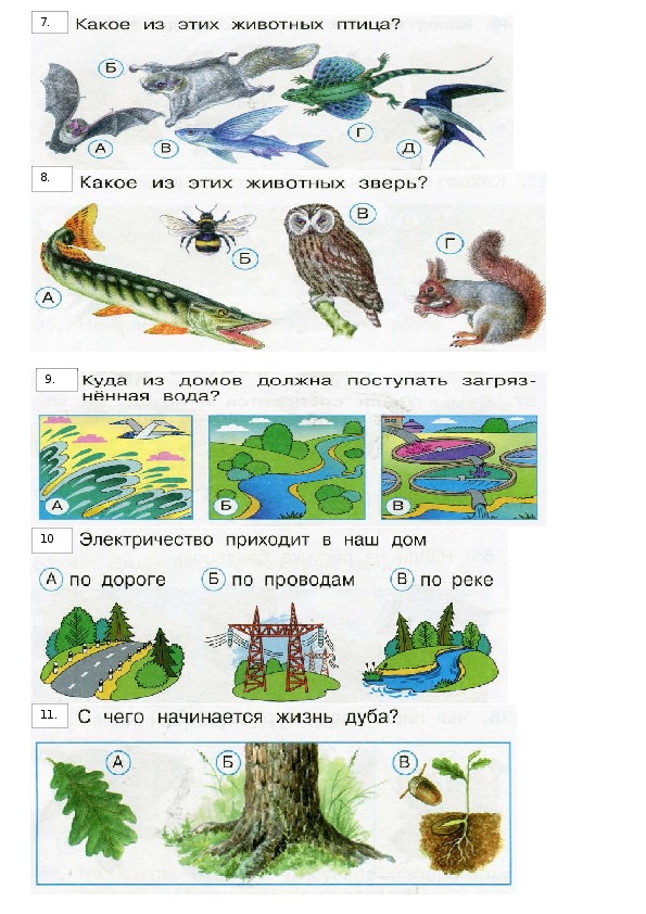 Окружающий мир 4 класс за полугодие