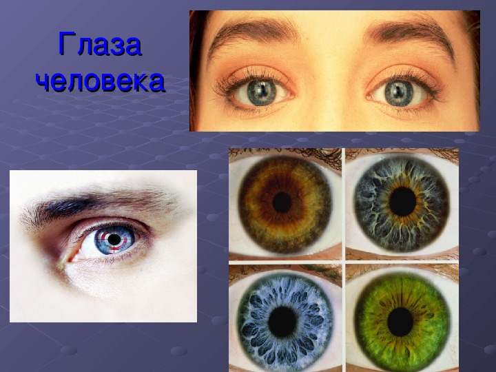 Темы глазки. Глаз для презентации. Глаза человека для презентации. Презентация на тему глаза человека. Глаза главные помощники человека.