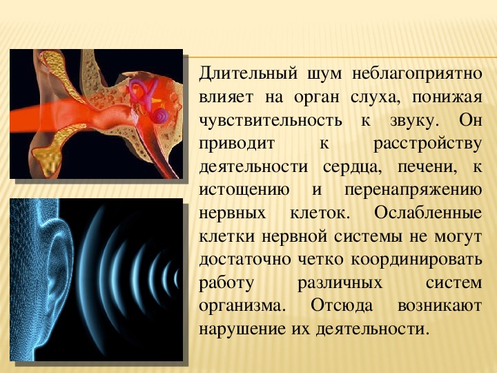 Звук организма слушать. Воздействие звука на организм человека. Влияние шума на орган слуха. Влияние шума на человека. Звук и его влияние на организм.