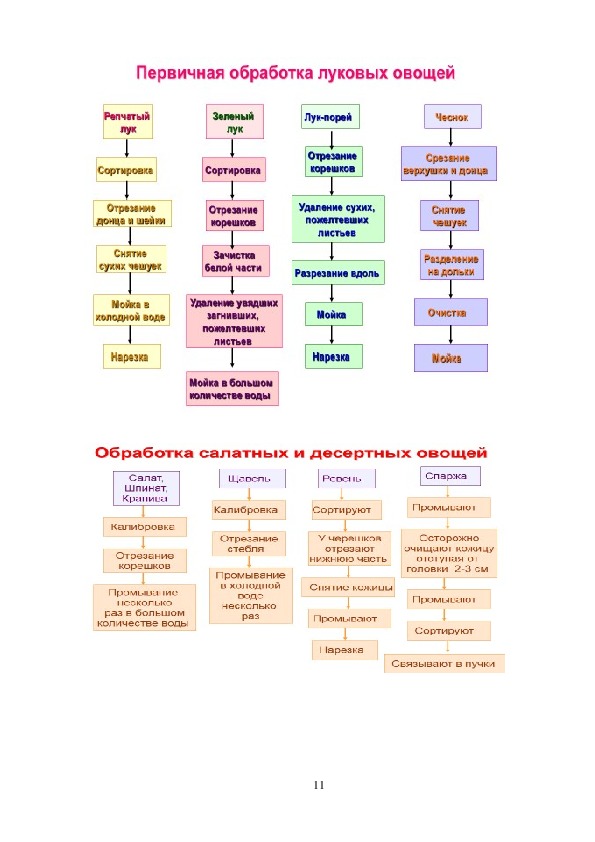 Технологическая схема первичной обработки кабачков