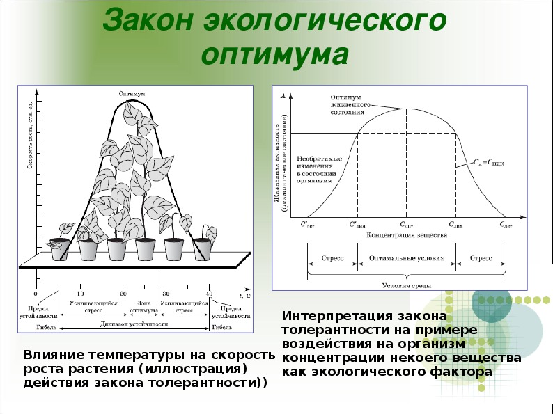 Практическая работа влияние различных факторов на скорость. Закон минимума оптимума и максимума. Схема действия закона оптимума. Законы экологии закон оптимума. Законы экологии закон оптимума и пессимума.