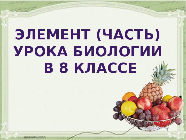 Витамины 9 класс биология конспект