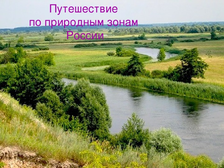 Презентация по окружающему миру "Природные зоны России" (4 класс)