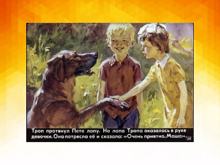 Презентация к уроку литературы по рассказу "Троп" Железникова В.К. (6класс)