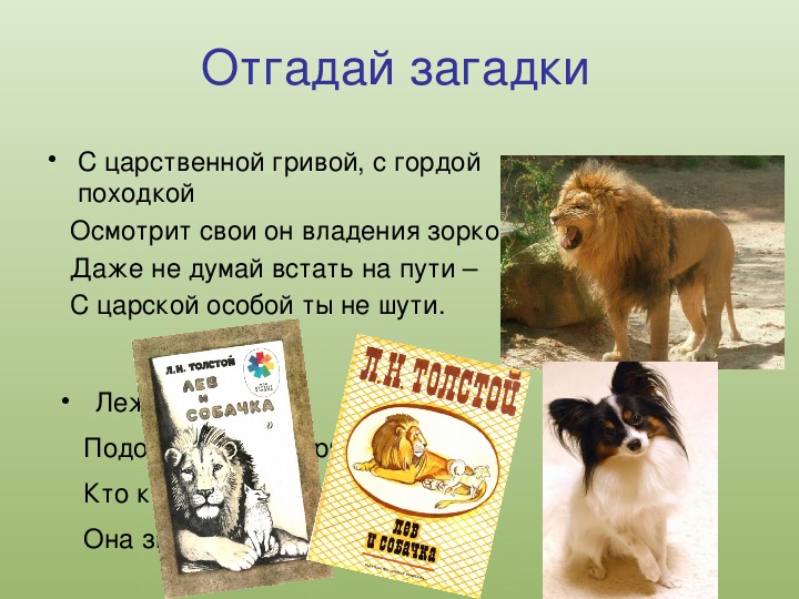 Лев и собачка толстой 3 класс. Литературное чтение Лев и собачка. Лев и собачка презентация. Загадки про Льва и собачку. 3 Класс литература Лев и собачонка.