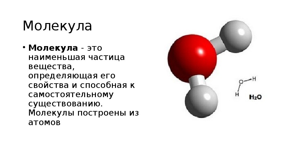 Молекулярный кратко