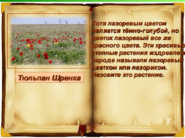 Презентация по  географии на тему "Книга природы Волгоградской области"