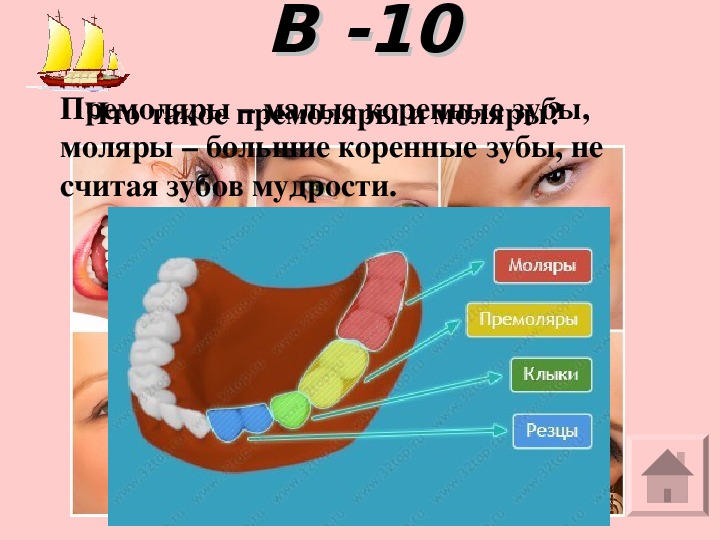 Можно считать зубы