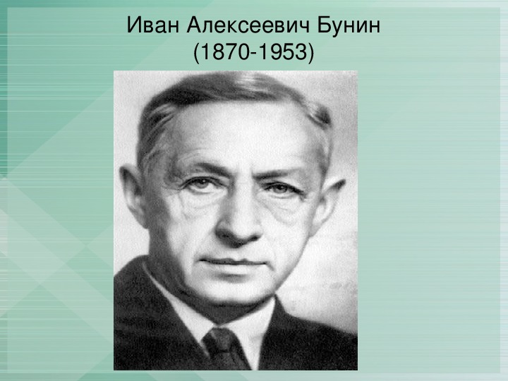 Огарева обыкновенная повесть. Обыкновенная повесть. Огарев обыкновенная повесть. Бунин темные аллеи конспект урока 9 класс.