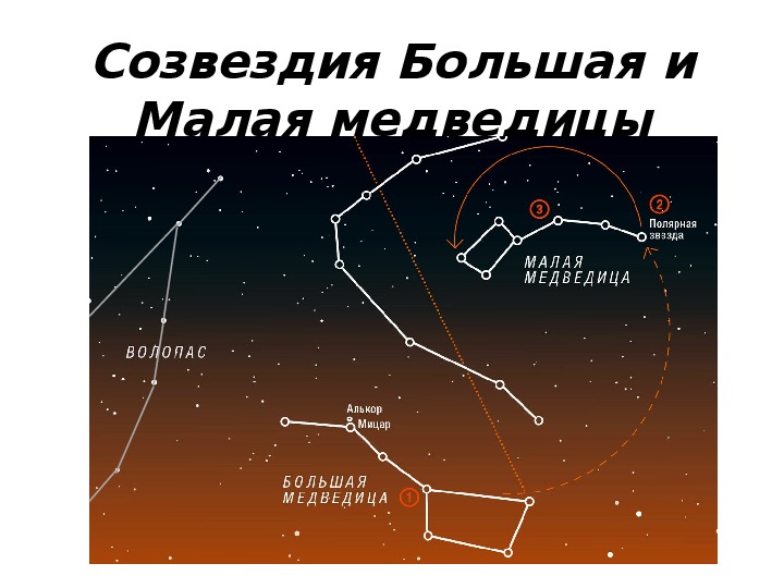 Созвездия большой и малый. Созвездие большая Медведица и малая Медведица. Созвездие большой медведицы и малой медведицы 2 класс. Окружающий мир 4 класс Созвездие малая Медведица. Маленькие созвездия.