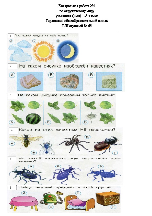 Итоговый урок по окружающему миру 2 класс школа россии презентация