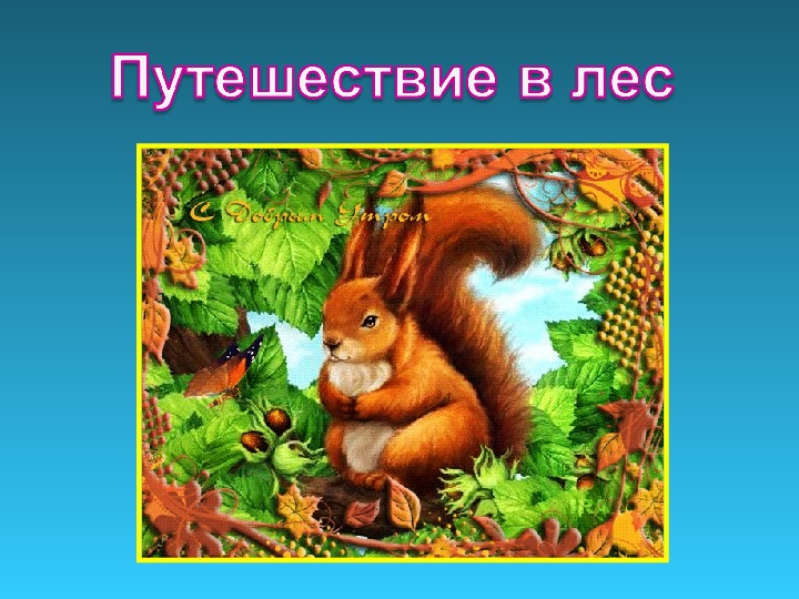 Обложка для материала НОД
