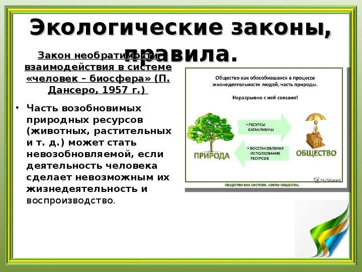 Изменения в экологическом законодательстве. Экологические законы биосферы. Закономерности экологии. Экологические законы экология. Закон Дансеро.