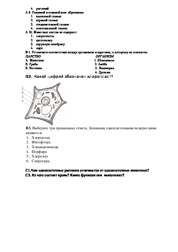 Контрольная по биологии 5 класс с ответами. Биология 5 класс итоговая контрольная. Итоговый годовой контроль по биологии 5.